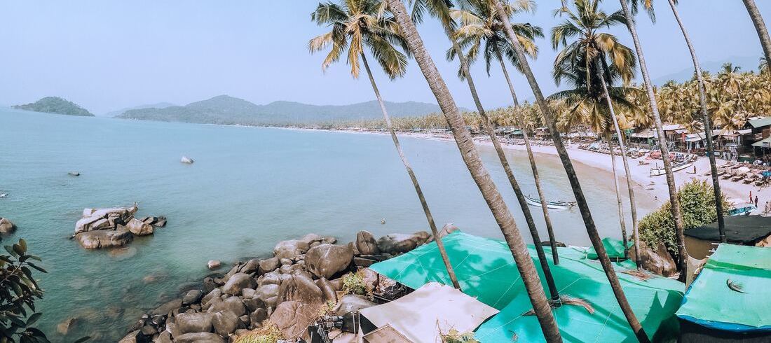 Goa plage Inde cocotiers
