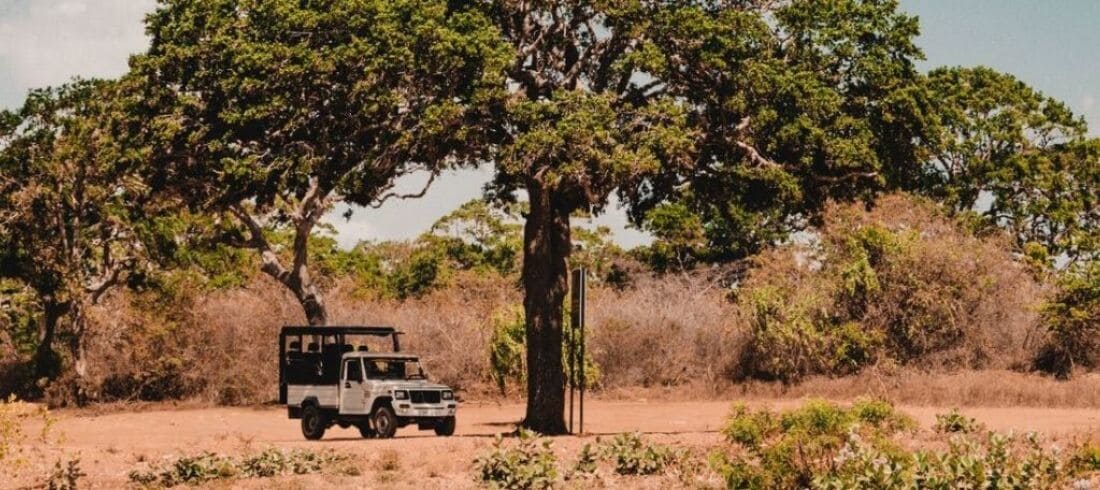 Safari jeep 4x4 parc national Yala