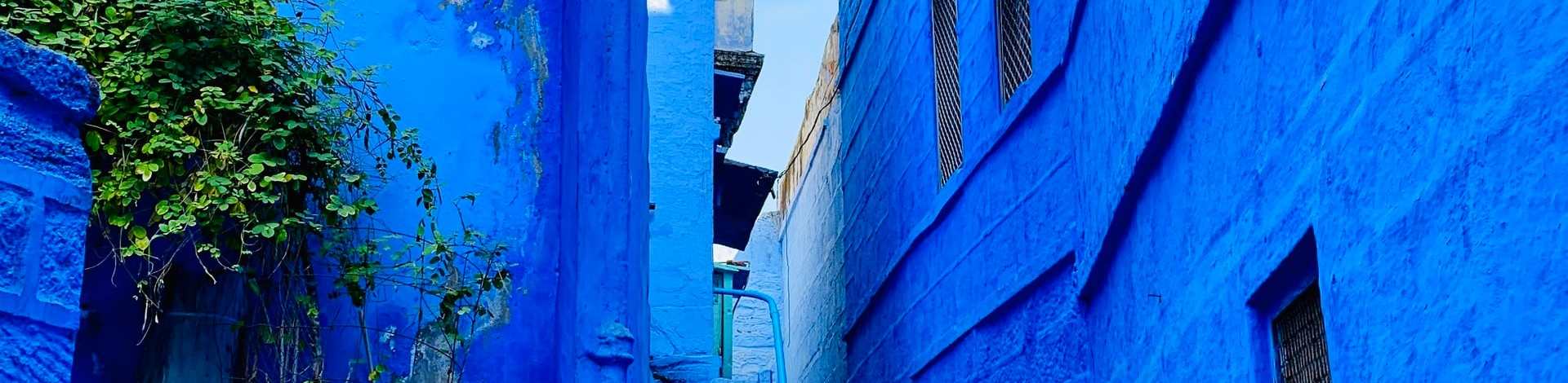 jodhpur inde rajasthan bleu rues maisons