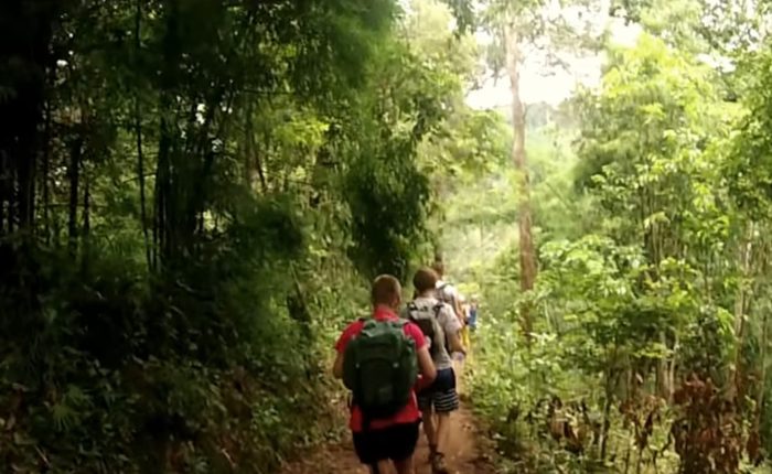 trek jungle randonnee voyage asie