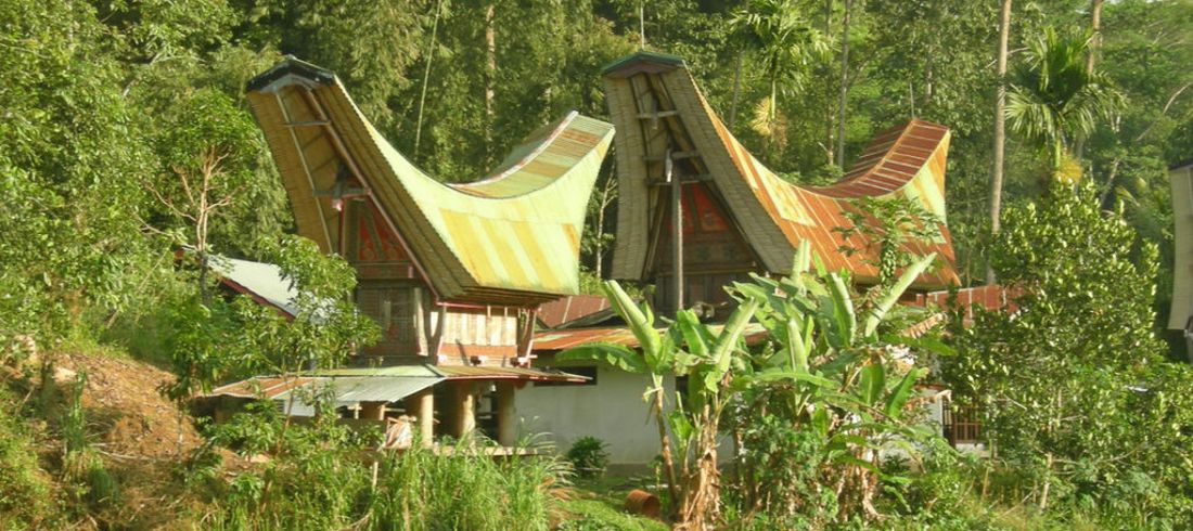 Maisons traditionnelles pays Toraja Célèbes Sulawesi