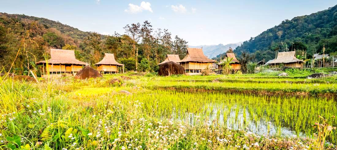 Village traditionnel rizières nord Laos