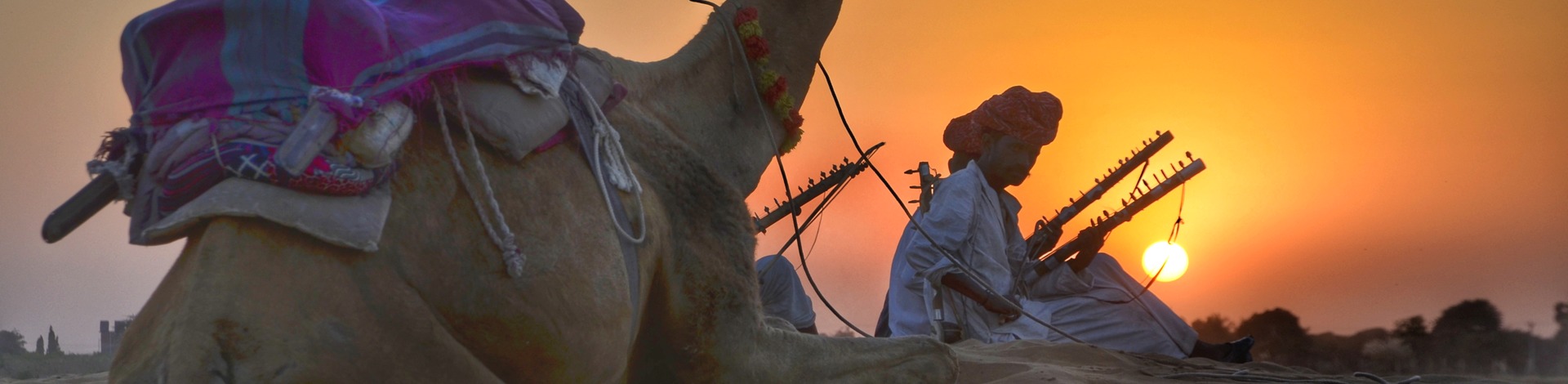 Safari désert chameau dromadaire Rajasthan coucher soleil
