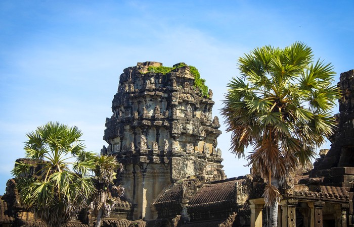 Angkor palmiers temples Unesco