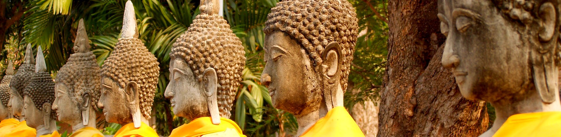 Ayutthaya Bouddhas Unesco site archéologique
