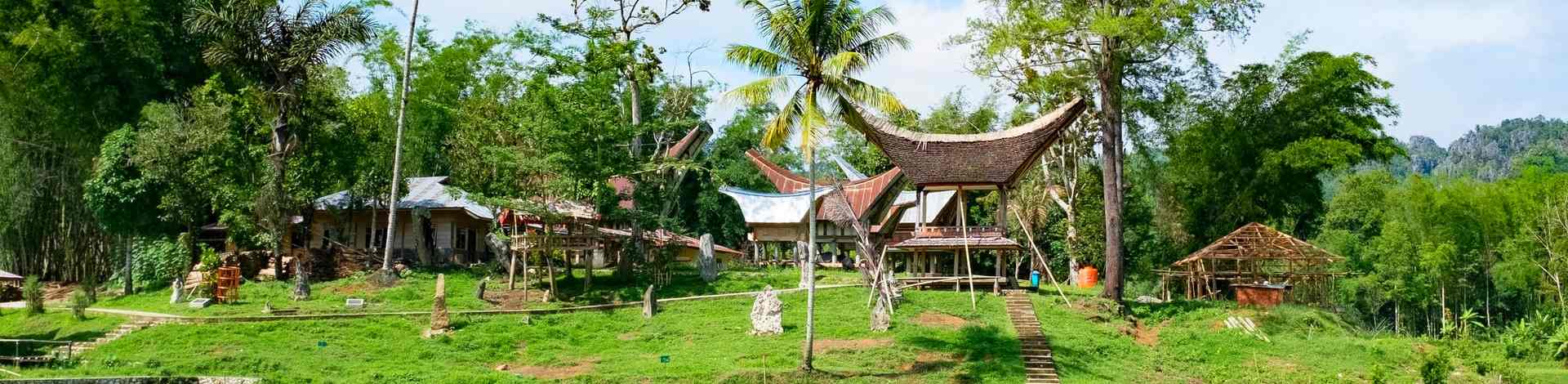 Célèbes Sulawesi Pays Toraja
