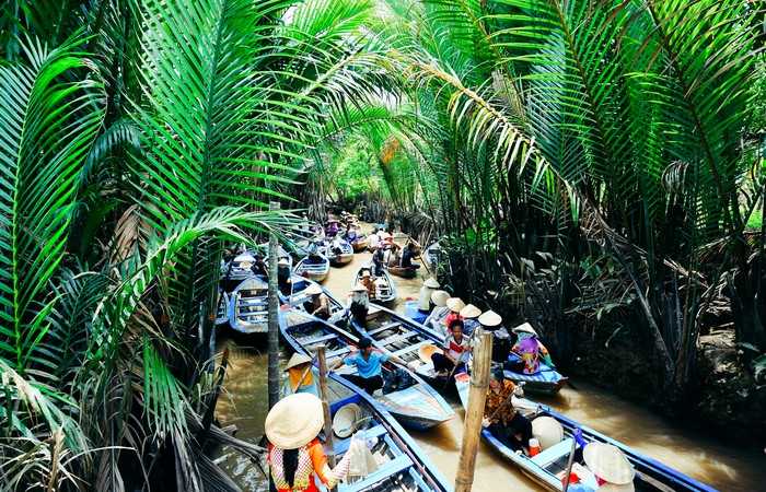 Delta Mékong barques végétation arroyos palmiers