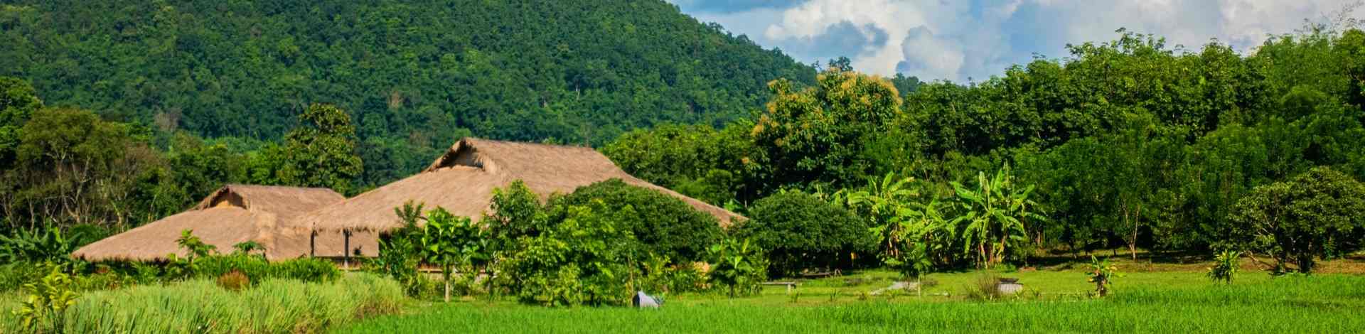 Lisu Lodge nord Thailande Chiang Mai campagne rizières