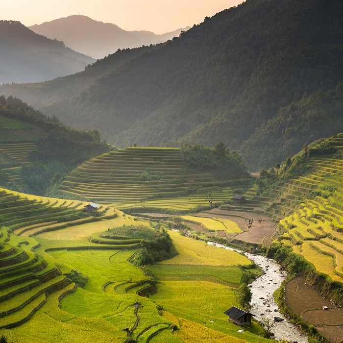 voyage asie tourisme vallee sapa vietnam rizieres eau nature