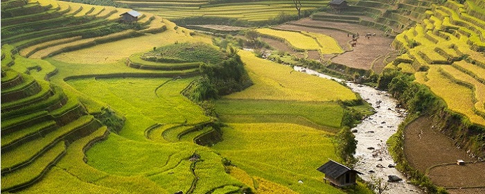 voyage asie tourisme vietnam vallee sapa rizieres